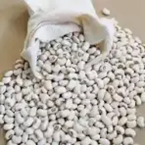 feijão caupi branco