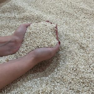 quirera de arroz